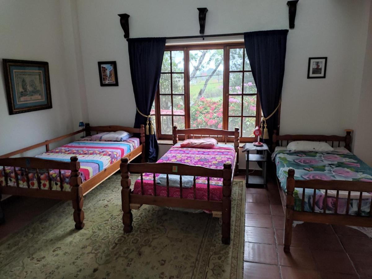 La Jungla Experience Lodgings - Vacation Home And Apartment Bajo Bajo Boquete Exterior foto