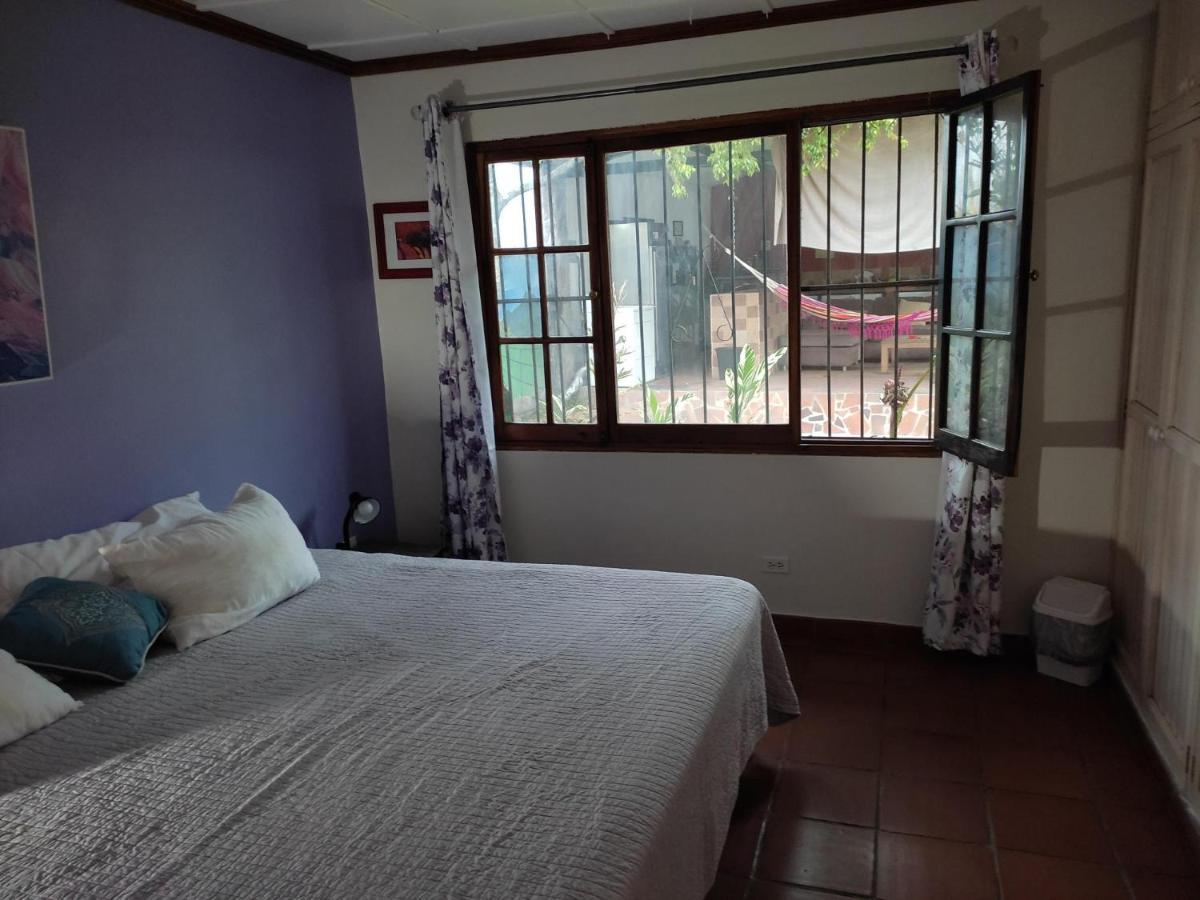 La Jungla Experience Lodgings - Vacation Home And Apartment Bajo Bajo Boquete Exterior foto
