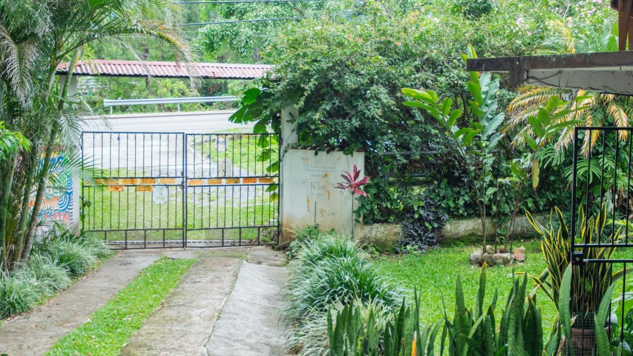 La Jungla Experience Lodgings - Vacation Home And Apartment Bajo Bajo Boquete Exterior foto