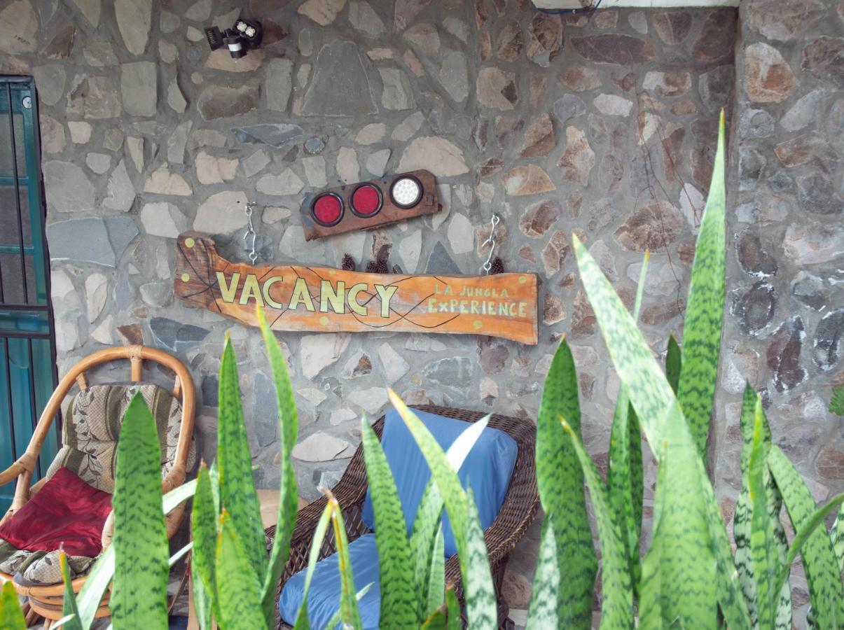 La Jungla Experience Lodgings - Vacation Home And Apartment Bajo Bajo Boquete Exterior foto